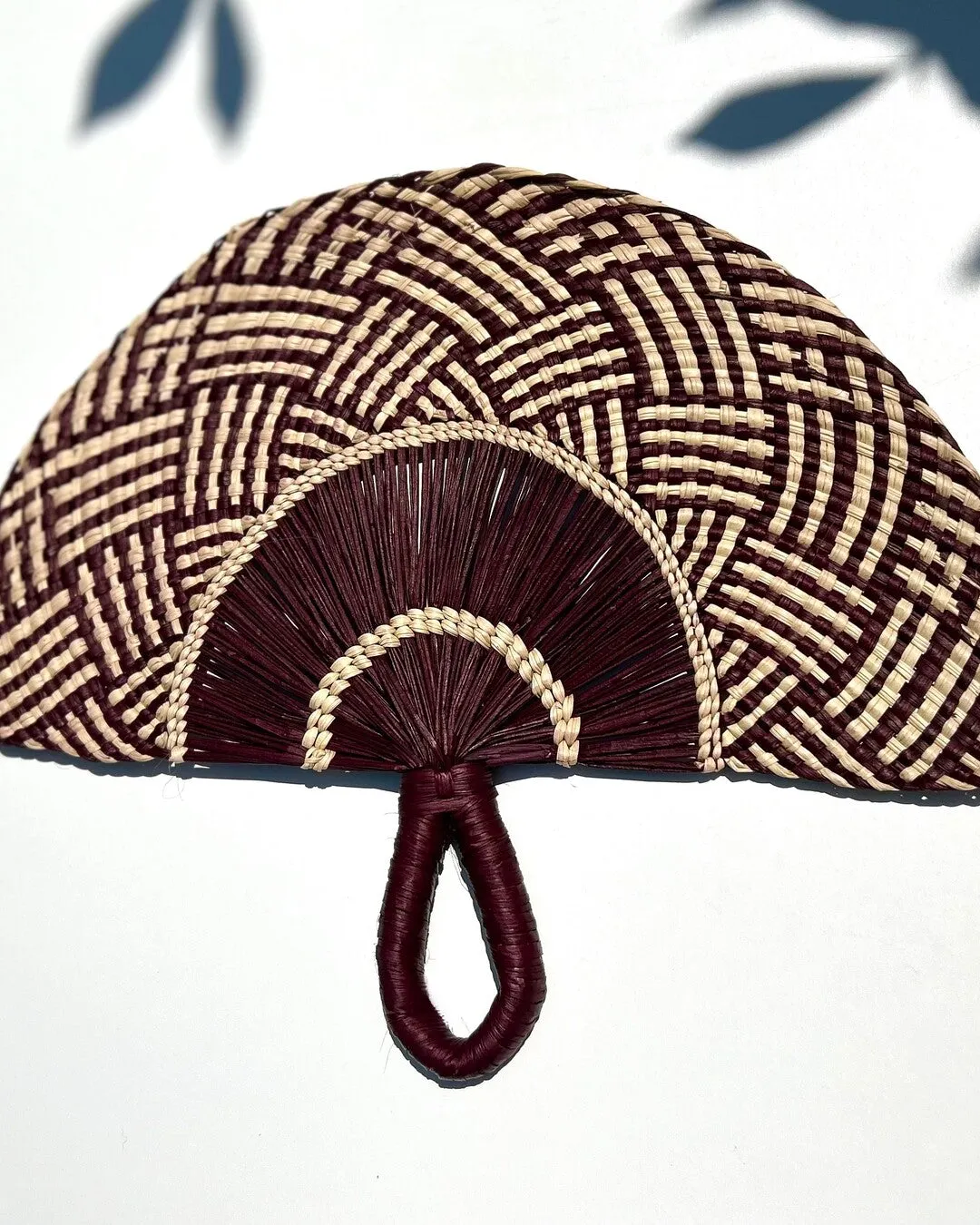 Cayambe Fan