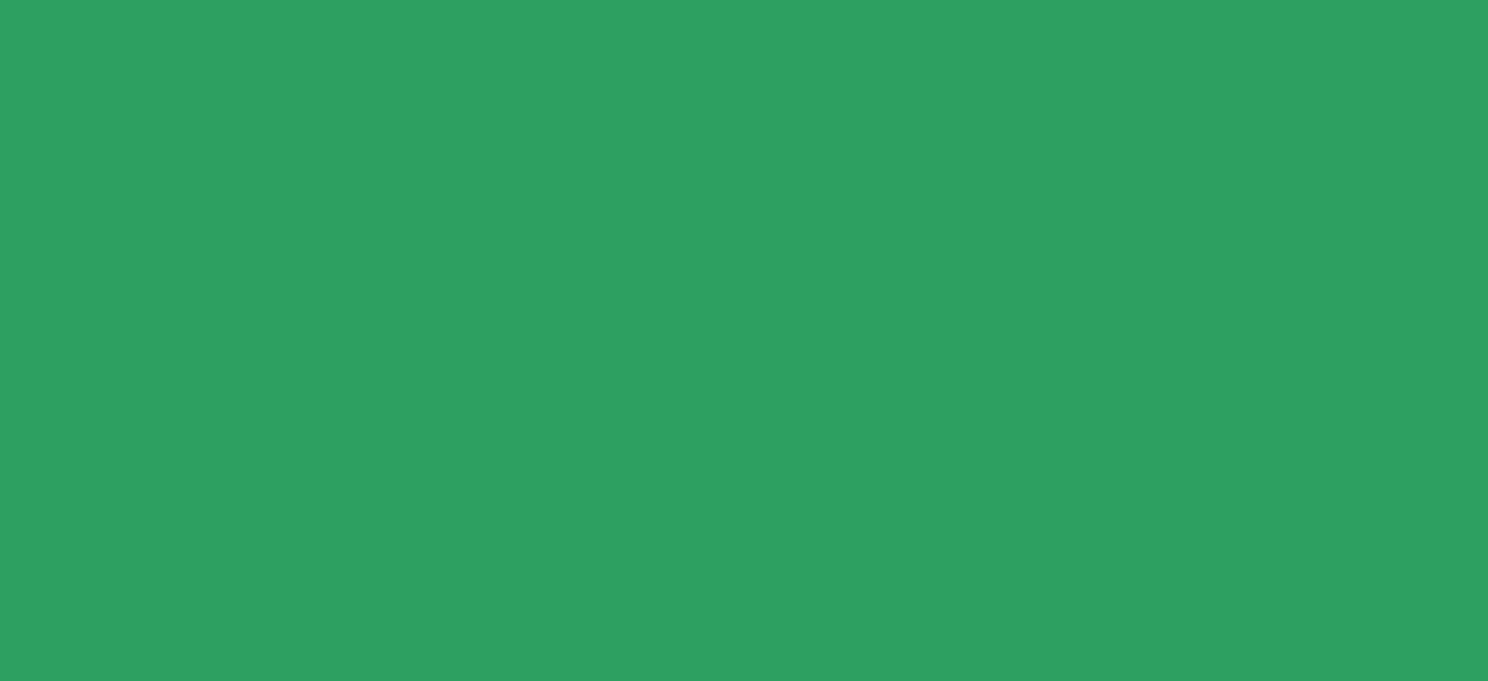 Regular HTV  Yard (19.5" x 1 yard)