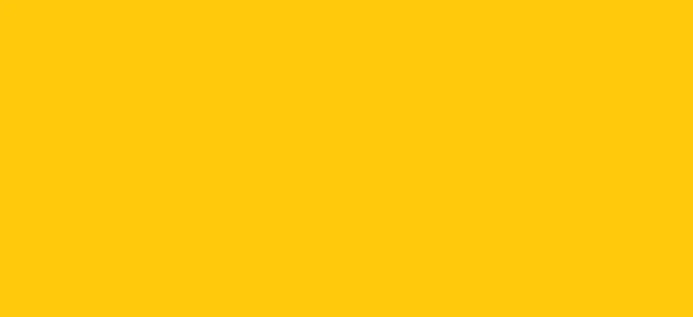 Regular HTV  Yard (19.5" x 1 yard)
