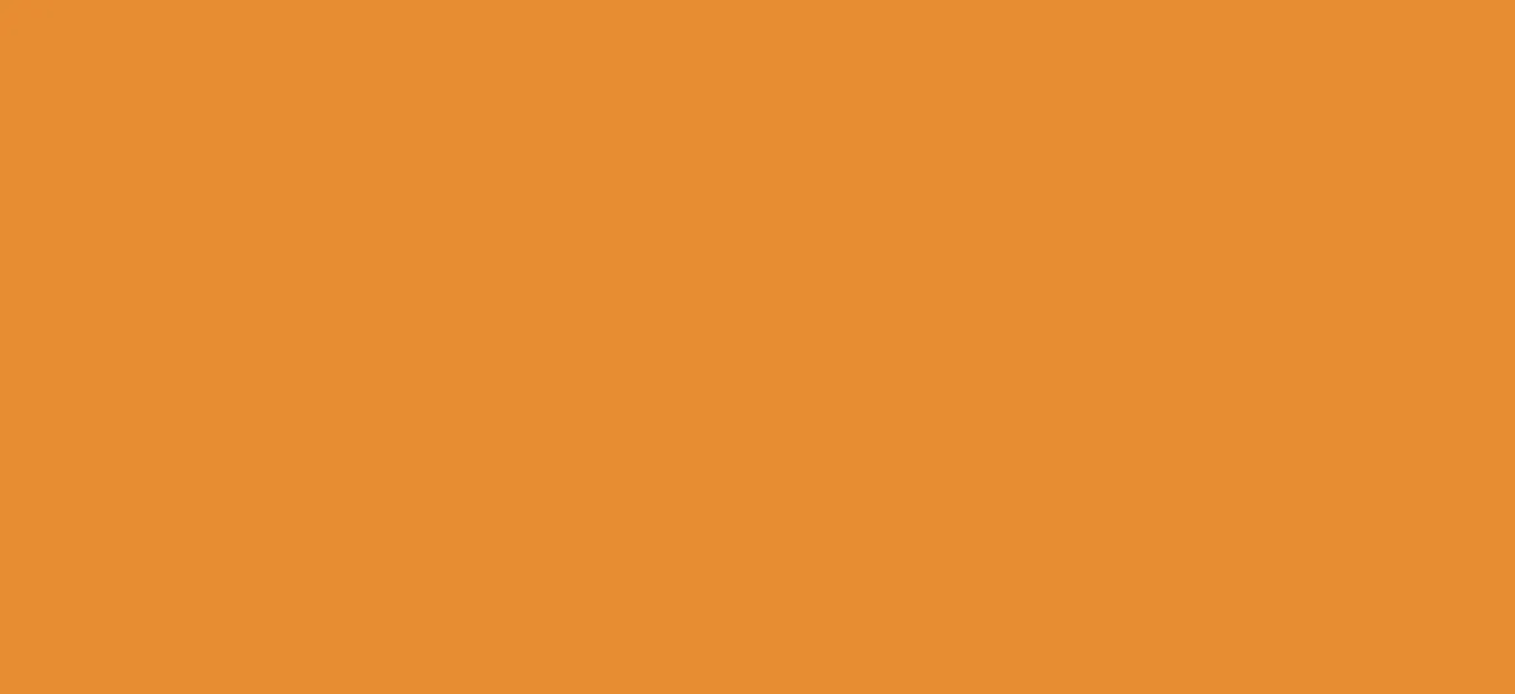 Regular HTV  Yard (19.5" x 1 yard)