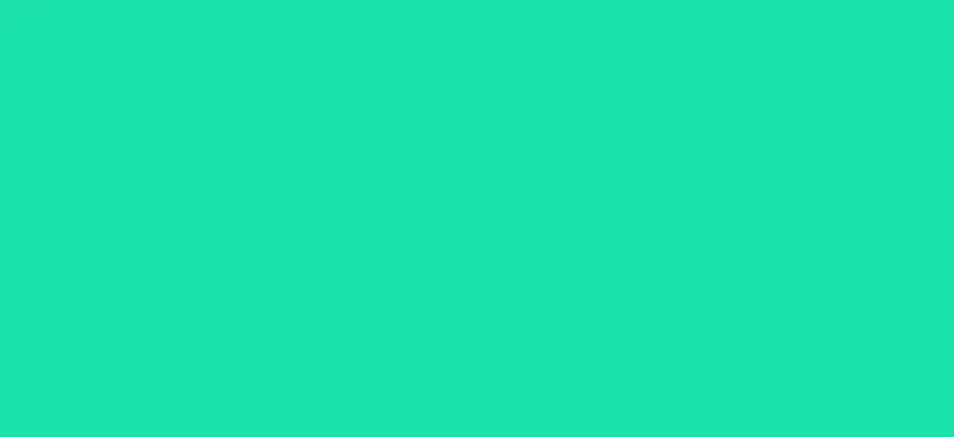 Regular HTV  Yard (19.5" x 1 yard)