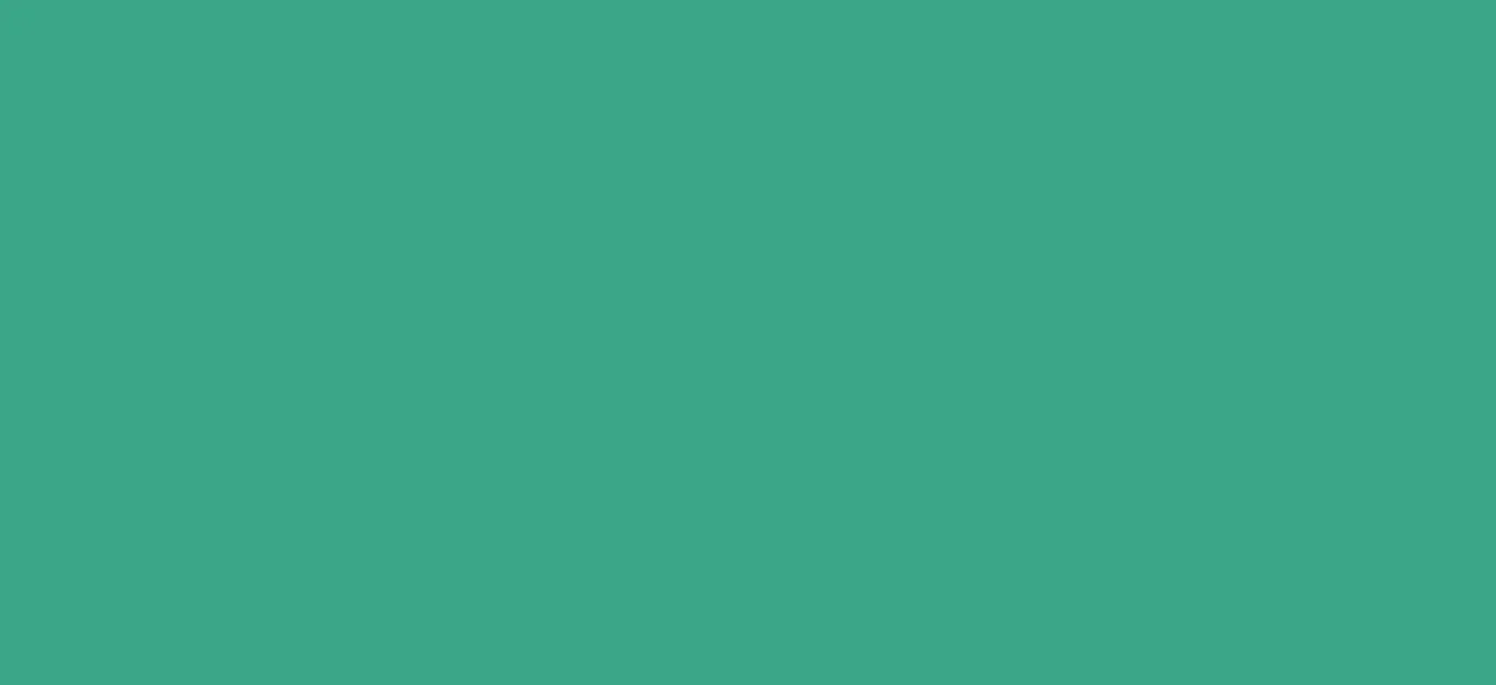 Regular HTV  Yard (19.5" x 1 yard)