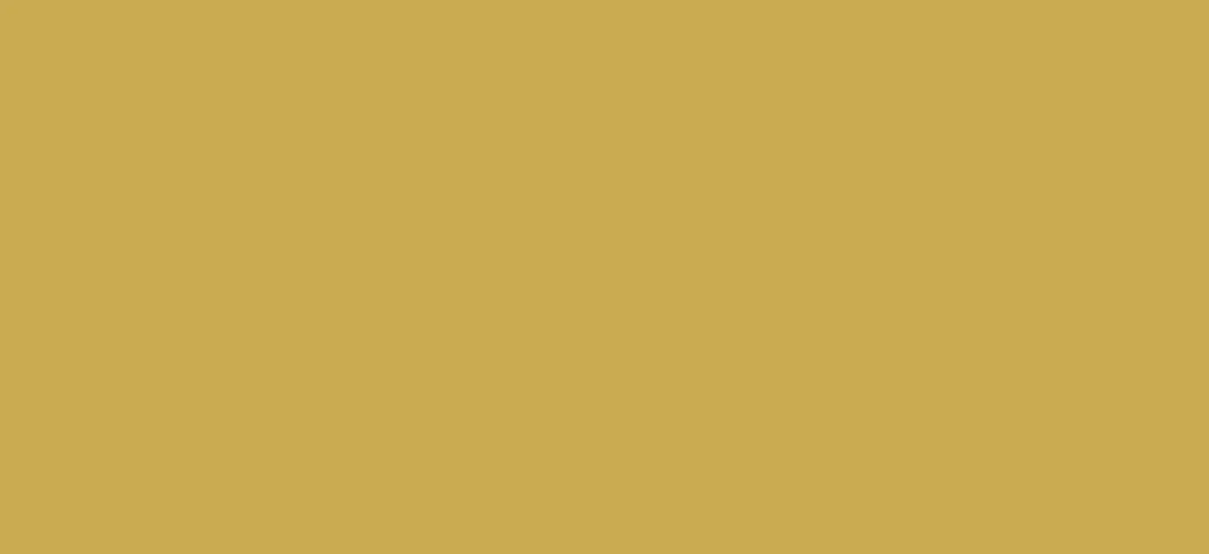 Regular HTV  Yard (19.5" x 1 yard)
