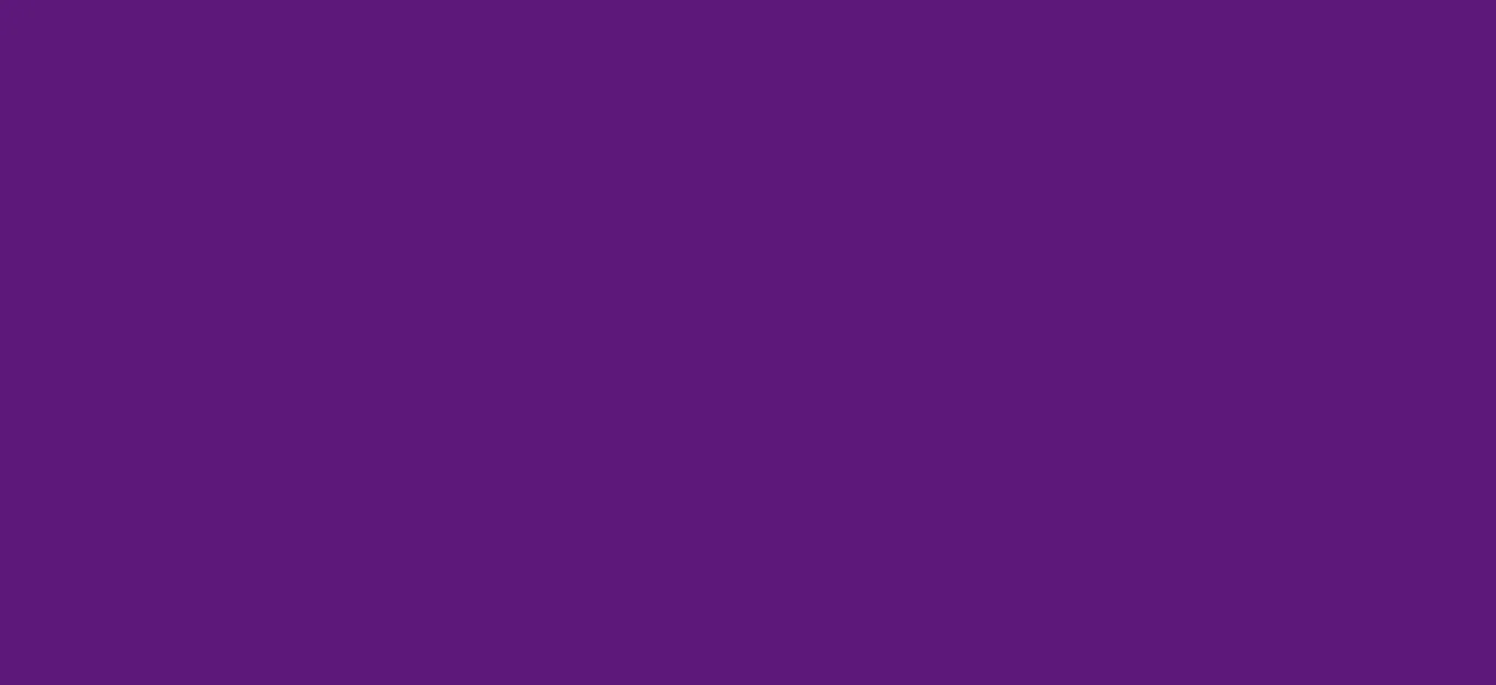Regular HTV  Yard (19.5" x 1 yard)