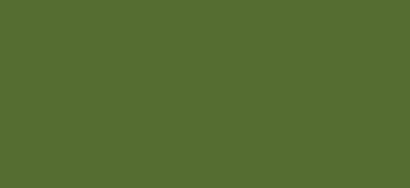Regular HTV  Yard (19.5" x 1 yard)